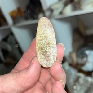 Natural Botswana Agate Decor